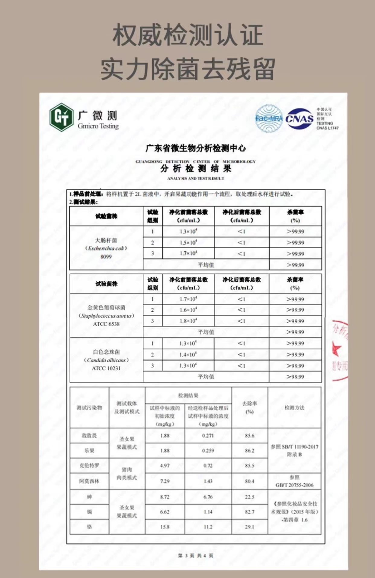 德国 oidire 果蔬清洗机洗菜机家用果蔬解毒机蔬菜水果食材净化机器全自动去农残鱼肉虾降激素消毒 odi-gsqx01 玛鲁白 双仓升级款