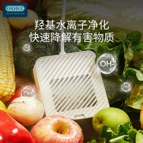 德国 oidire 果蔬清洗机洗菜机家用果蔬解毒机蔬菜水果食材净化机器全自动去农残鱼肉虾降激素消毒 odi-gsqx01 玛鲁白 双仓升级款