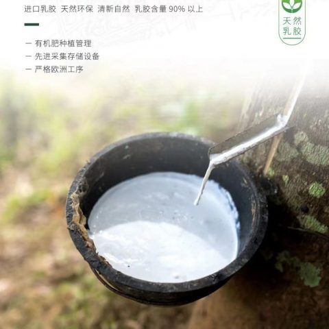 清幽雅竹乳胶枕头枕芯 泰国进口原液天然乳胶枕 舒睡护颈枕 雕花颗粒乳胶枕 雕花颗粒乳胶枕 内套 外套（简装） 60*40*10/12