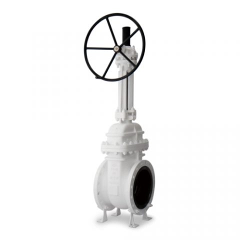 gate valve